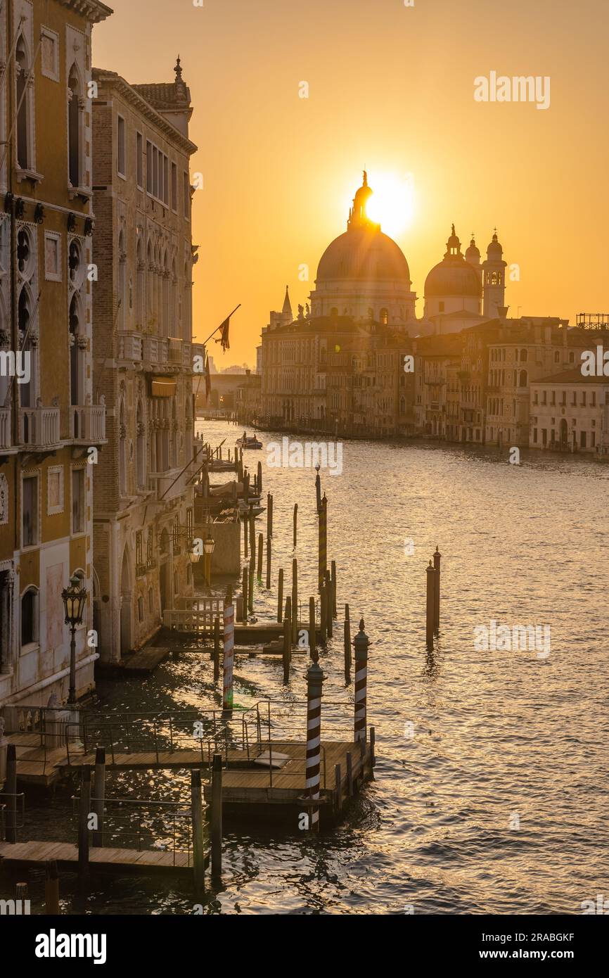 Il Canal grande a Venezia con la basilica di Santa Maria della salute a una bella alba, Italia, Europa. Foto Stock