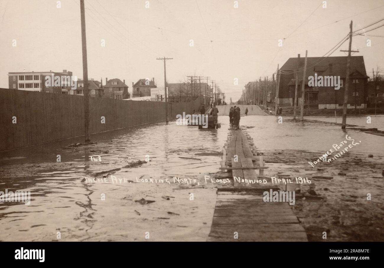 L'inondazione primaverile del 1916, Tache Avenue, Norwood, Winnipeg Manitoba Canada, vecchia cartolina. Foto di Advance Photo Co. Foto Stock