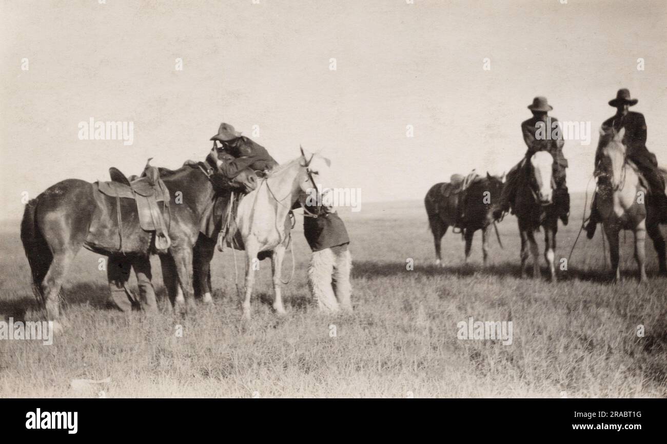 Cowboys and Horses, Alberta meridionale, Canada, cartolina degli anni '1910. fotografo non identificato Foto Stock