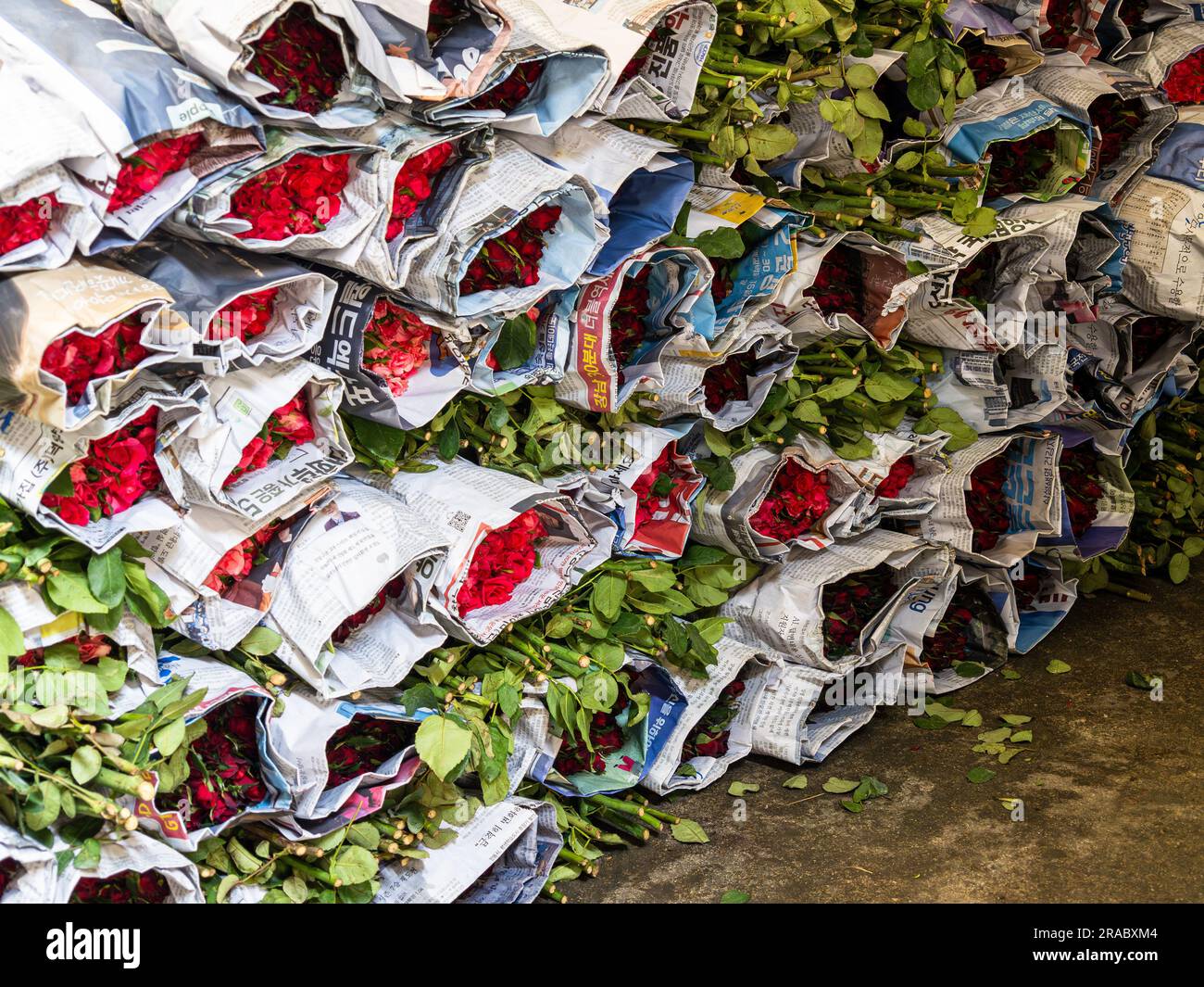 Nel vivace mercato dei fiori di Bangkok, in Thailandia, i pacchetti di rose cremisi sono accuratamente avvolti nei giornali, creando una vista deliziosa da visitare Foto Stock