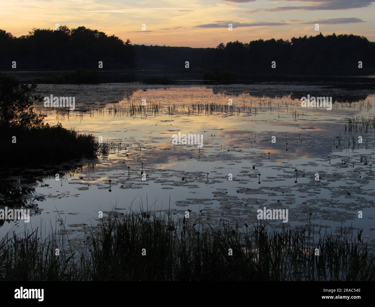 Il sole tramonta sul lago Jean nel Ricketts Glen State Park a Benton, Pennsylvania. Foto Stock