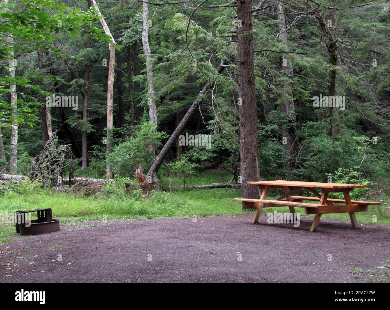 Un campeggio nel Ricketts Glen State Park a Benton, Pennsylvania. Foto Stock