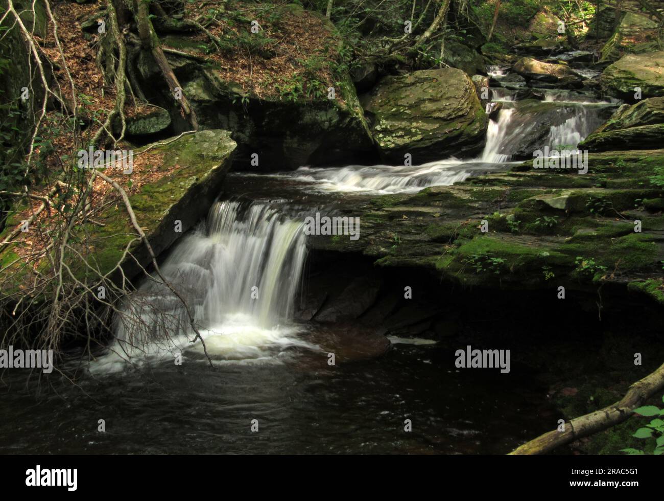 Kitchen Creek si riversa su piccole cascate nel Ricketts Glen State Park a Benton, Pennsylvania. Foto Stock