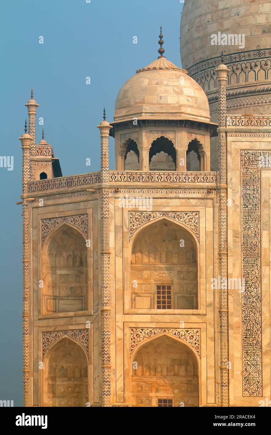 Dettaglio architettonico del famoso mausoleo Taj Mahal, Agra, India Foto Stock