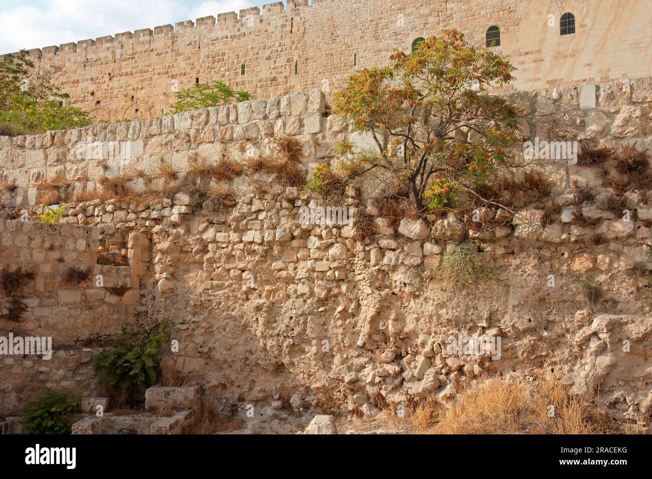 Dettaglio architettonico di una sezione dell'antico muro di Gerusalemme, Israele Foto Stock
