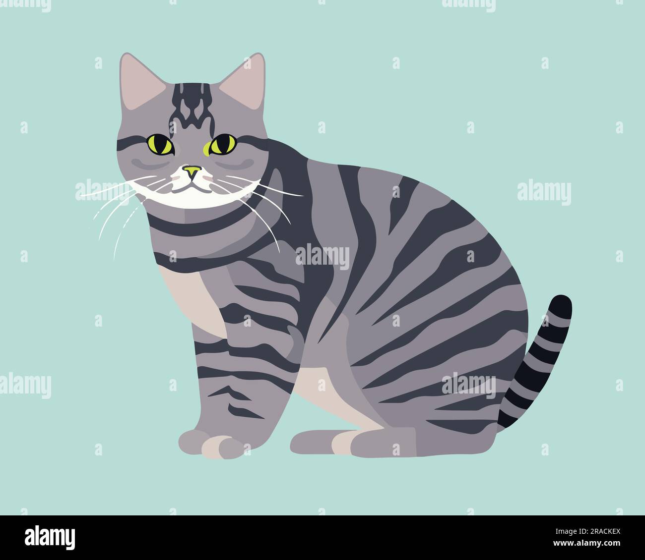 Un'illustrazione vettoriale piatta gatto americana Illustrazione Vettoriale