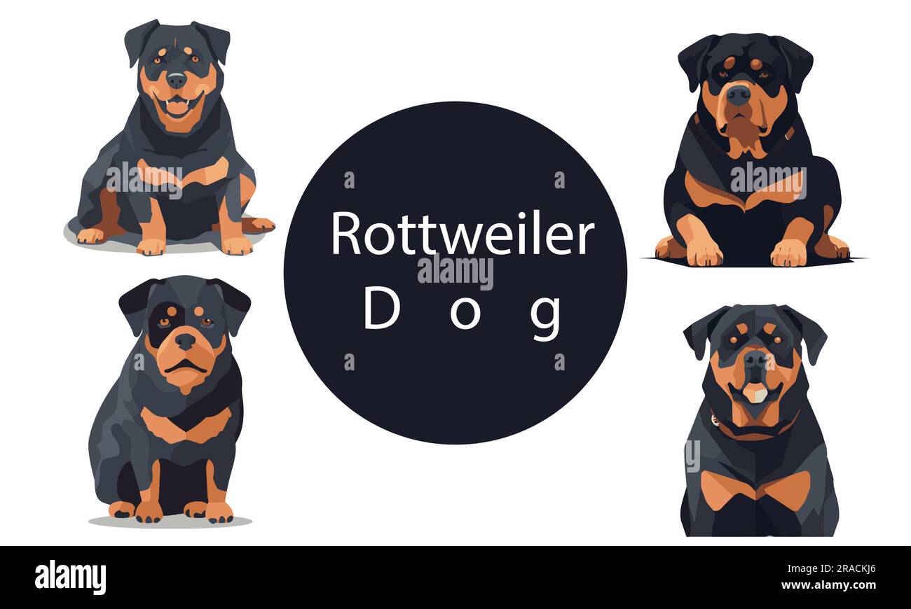 Una serie di illustrazioni Rottweiler Dog Vector Illustrazione Vettoriale
