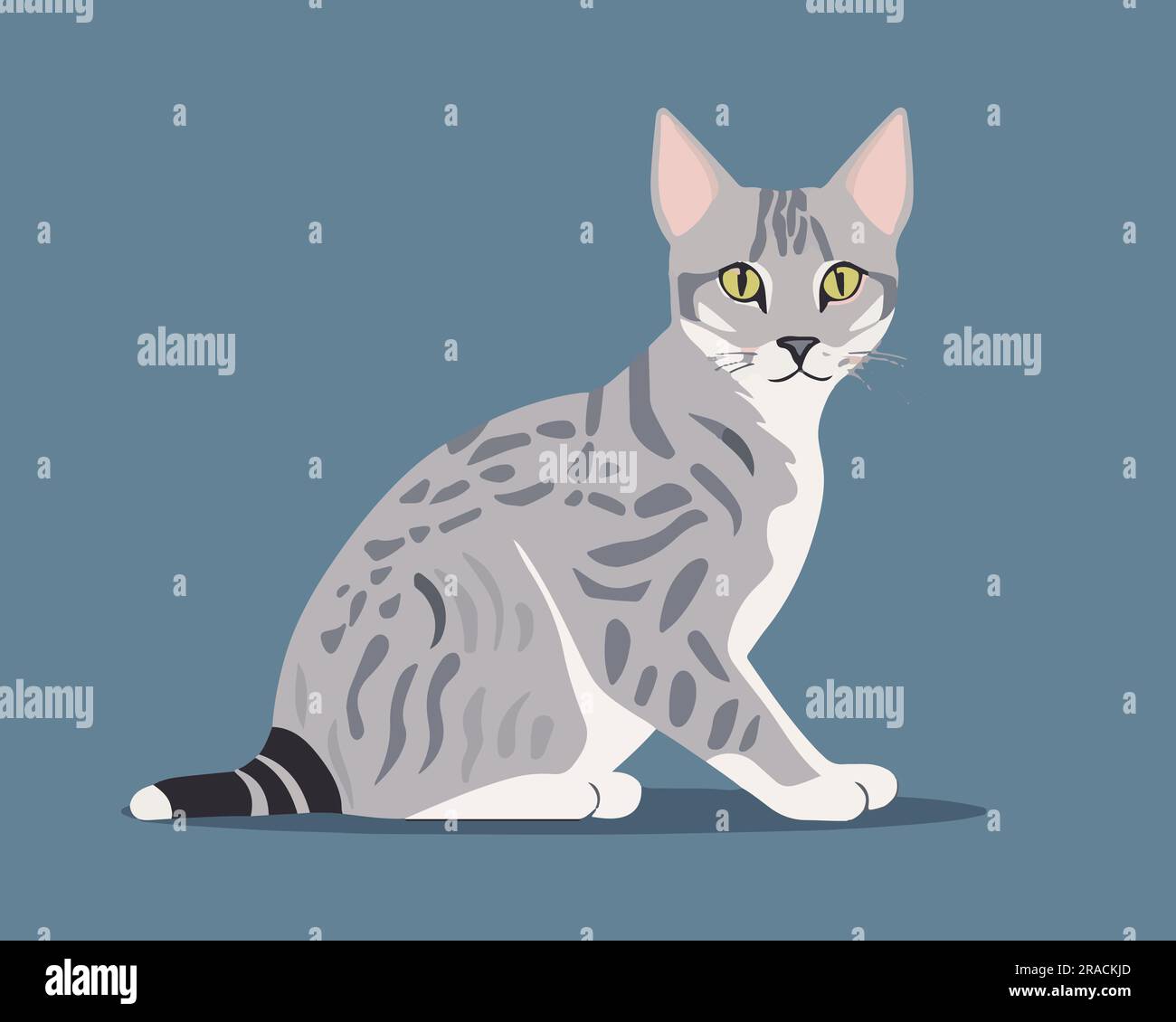 Una graziosa illustrazione vettoriale piatta American Cat seduta Illustrazione Vettoriale