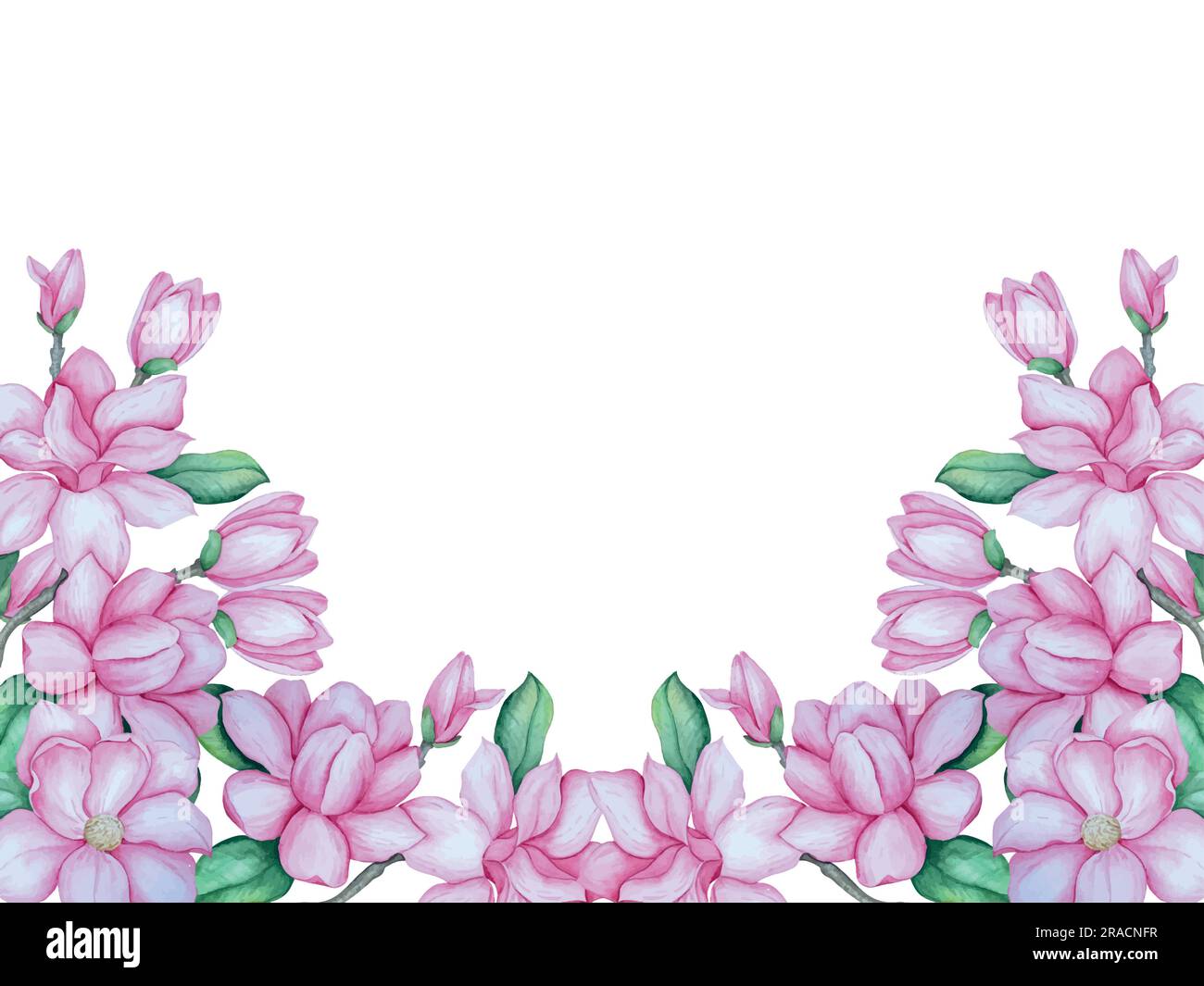 Illustrazione vettoriale acquerello di fiori di magnolia. Set di elementi decorativi Illustrazione Vettoriale