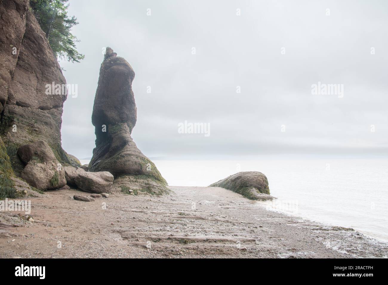 La baia di Fundy, New Brunswick. Questa baia è famosa per avere le maree più alte del mondo, che possono raggiungere i 20 metri di altezza Foto Stock