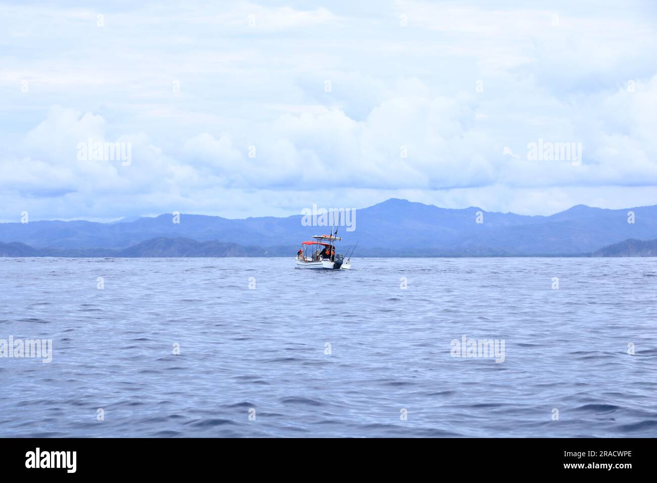 14 marzo 2023 - Samara, Guanacaste in Costa Rica: Gita in barca per osservare i delfini nel Pacifico Foto Stock