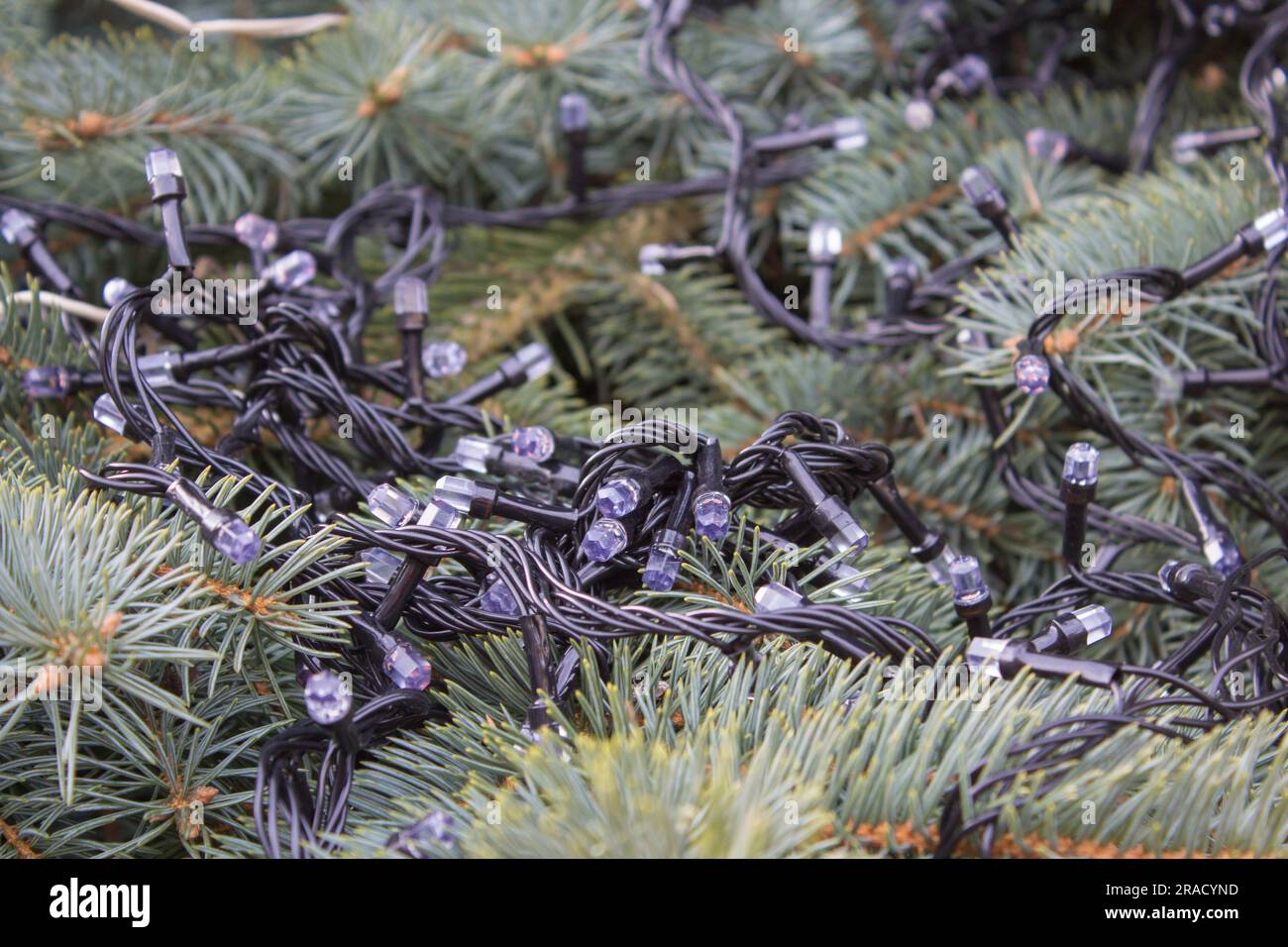 Le ghirlande sugli alberi di Natale non funzionano, le ghirlande rotte per gli alberi di Natale Foto Stock