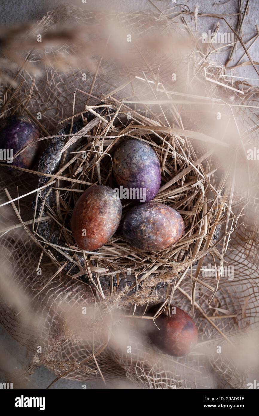 Uova di Pasqua colorate naturalmente con bacche di aronia Foto Stock