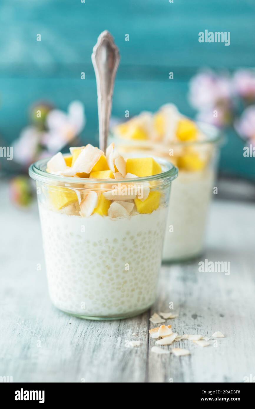 Budino di tapioca con cocco e mango Foto Stock