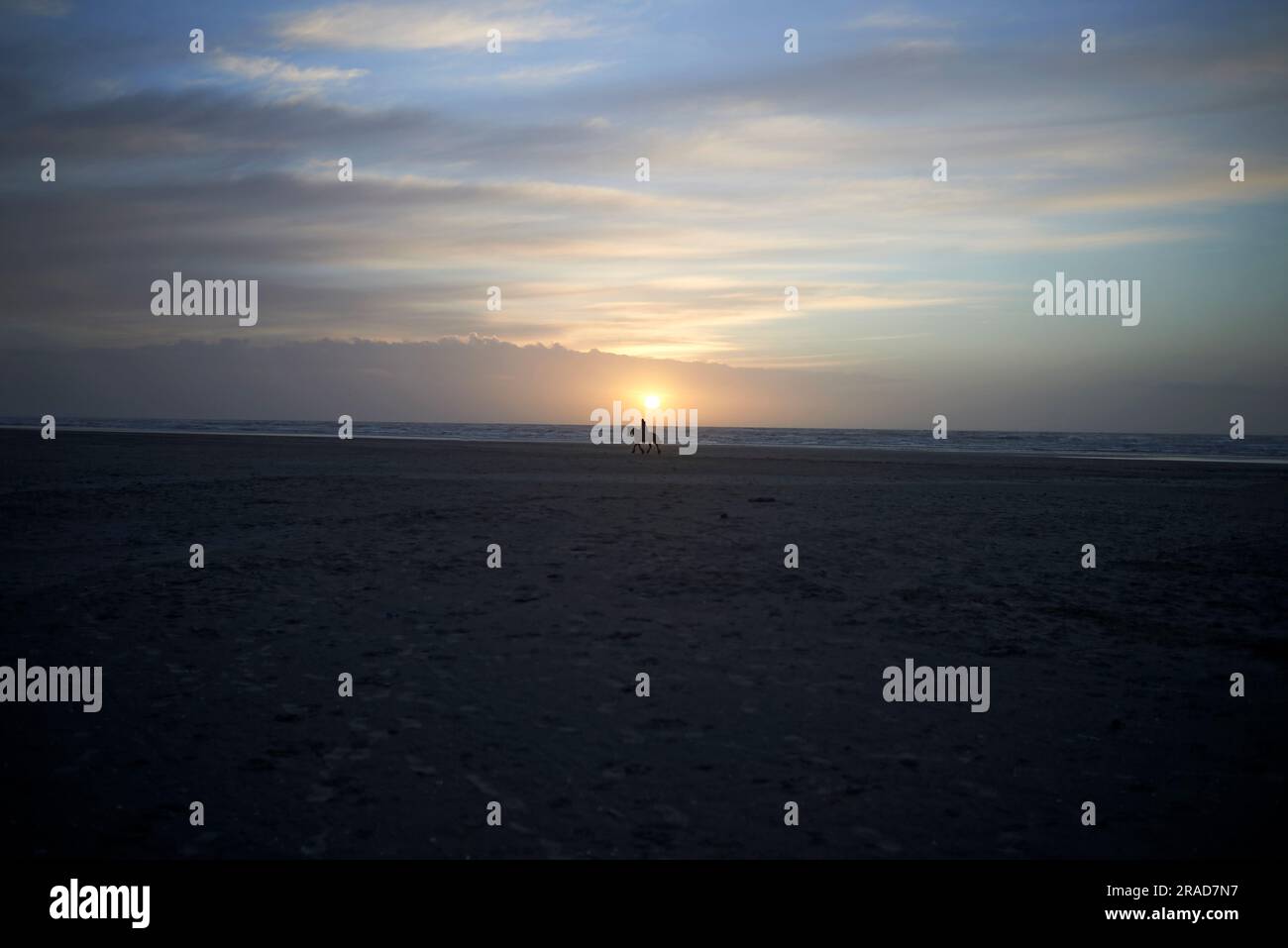 Splendida silhouette di una persona che cavalca un cavallo sulla spiaggia al tramonto Foto Stock