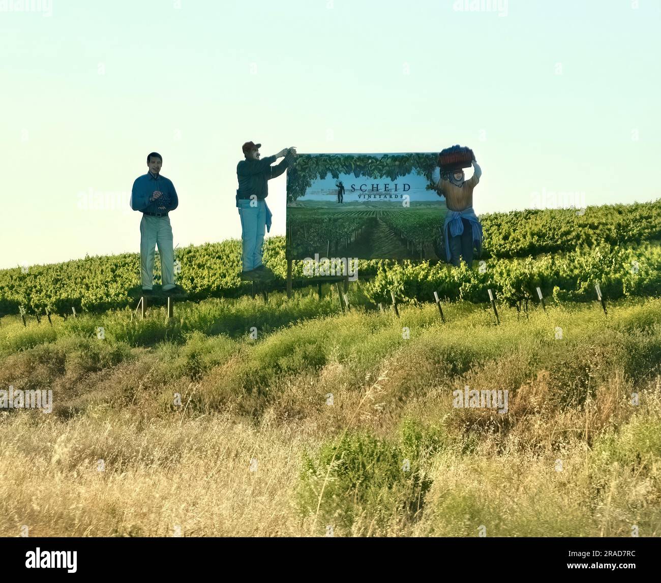 Cartello per il vigneto Scheid, Monterey County, Carmel-by-the-Sea, San Carlos e 7th Carmel California USA Foto Stock