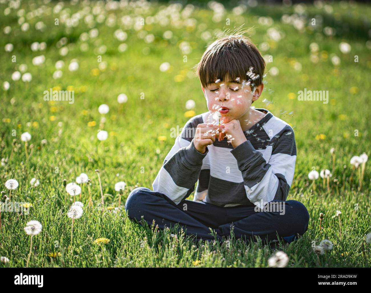 Giovane ragazzo seduto sull'erba che soffiava i semi dal fiore di tarassio. Foto Stock