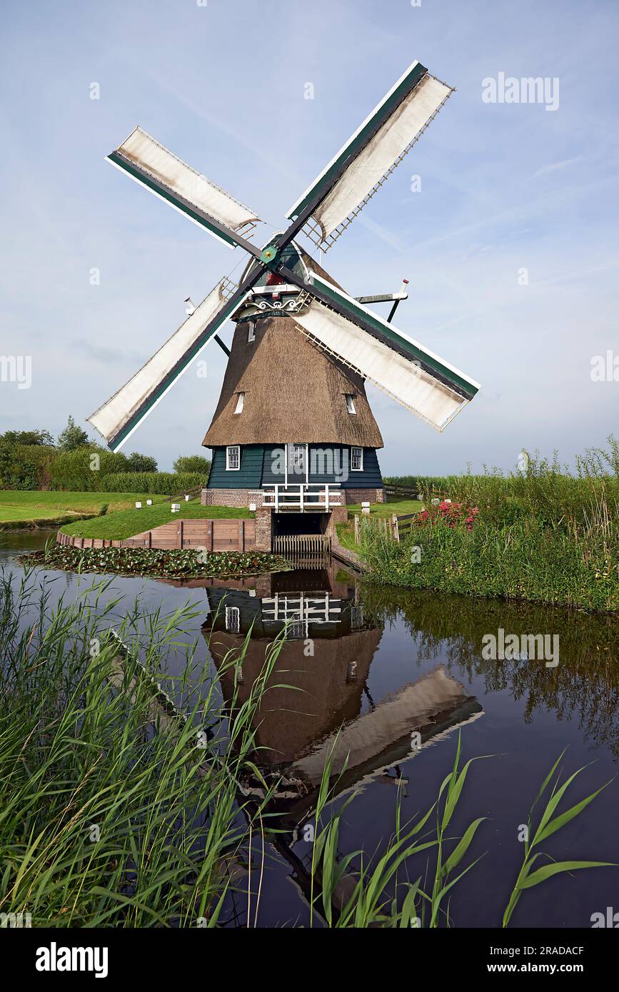 Mulino a vento olandese e il suo riflesso nell'acqua in pieno sole Foto Stock