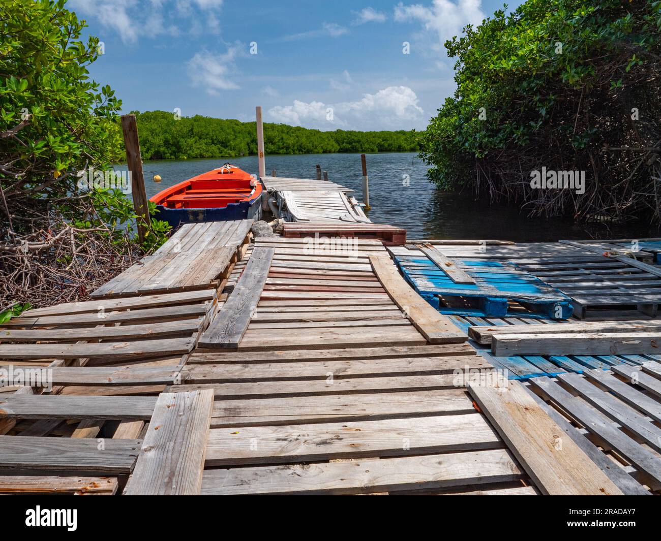 Pallet grigi e blu che puoi raggiungere a piedi una barca rossa presso la riserva delle mangrovie, Lac Bay, Lake Goto, Sorobon, Bonaire, Antille olandesi. Foto Stock
