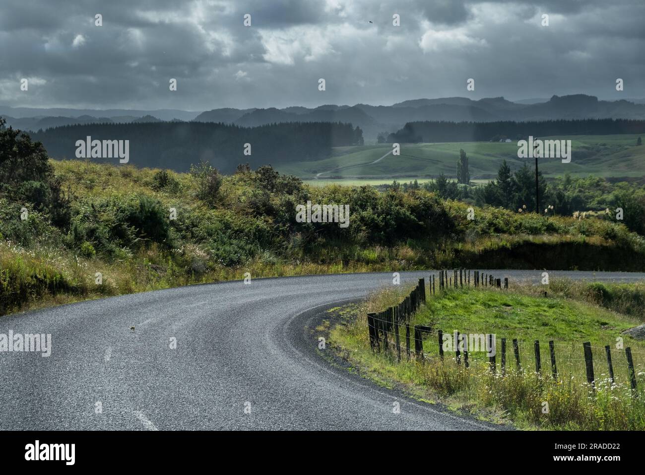 Una tortuosa strada di campagna in una tempesta si dirige verso il bucolico Pureora Forest Park nella regione di Taumarunui, nella King Country, North Island, nuova Zelanda. Foto Stock