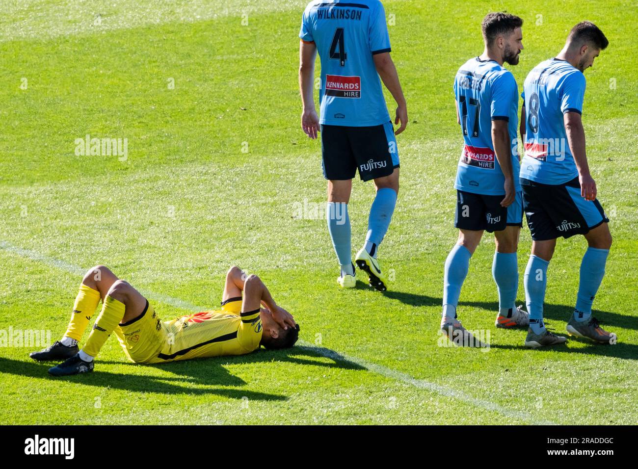Davila di Wellington non riesce a vincere in ritardo – Wellington Phoenix contro Sydney nella A-League al Wellington Regional Stadium il 21 dicembre 2019 Foto Stock