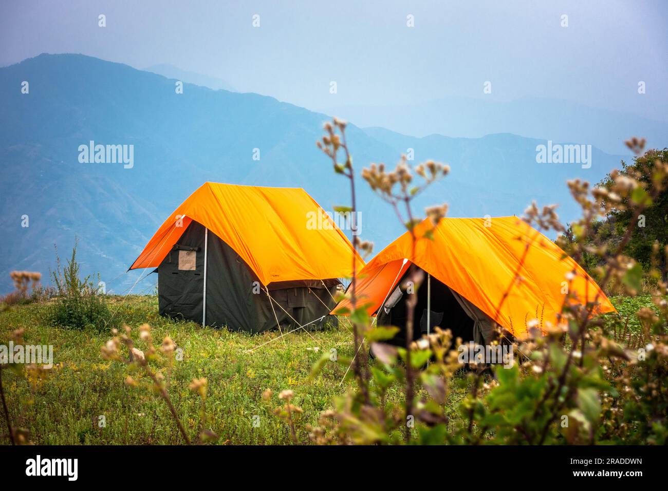 I campi con esterni arancioni volano su un campo da campeggio. NAG Tibba, regione himalayana di Uttarakhand. Trekking e campeggio Foto Stock