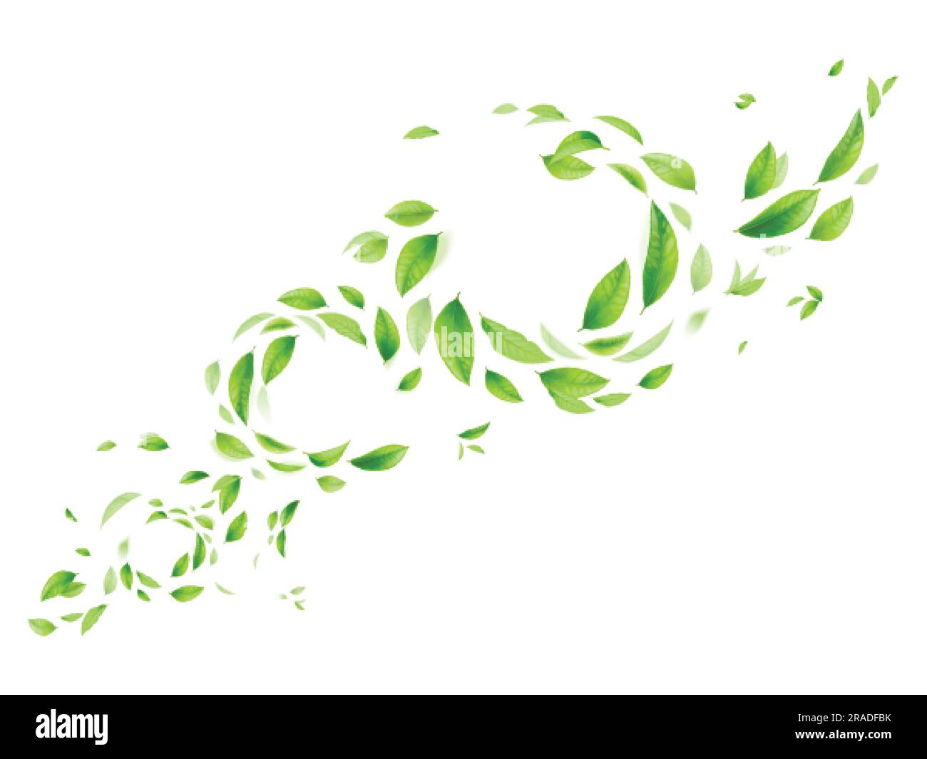 Fogliame volante realistico. Caduta naturale di foglie verdi o foglie volare su ruscello d'aria con effetto sfocato, vento vortice estivo vegetazione vegetale fresca, illustrazione vettoriale esatta di foglie cadenti Illustrazione Vettoriale