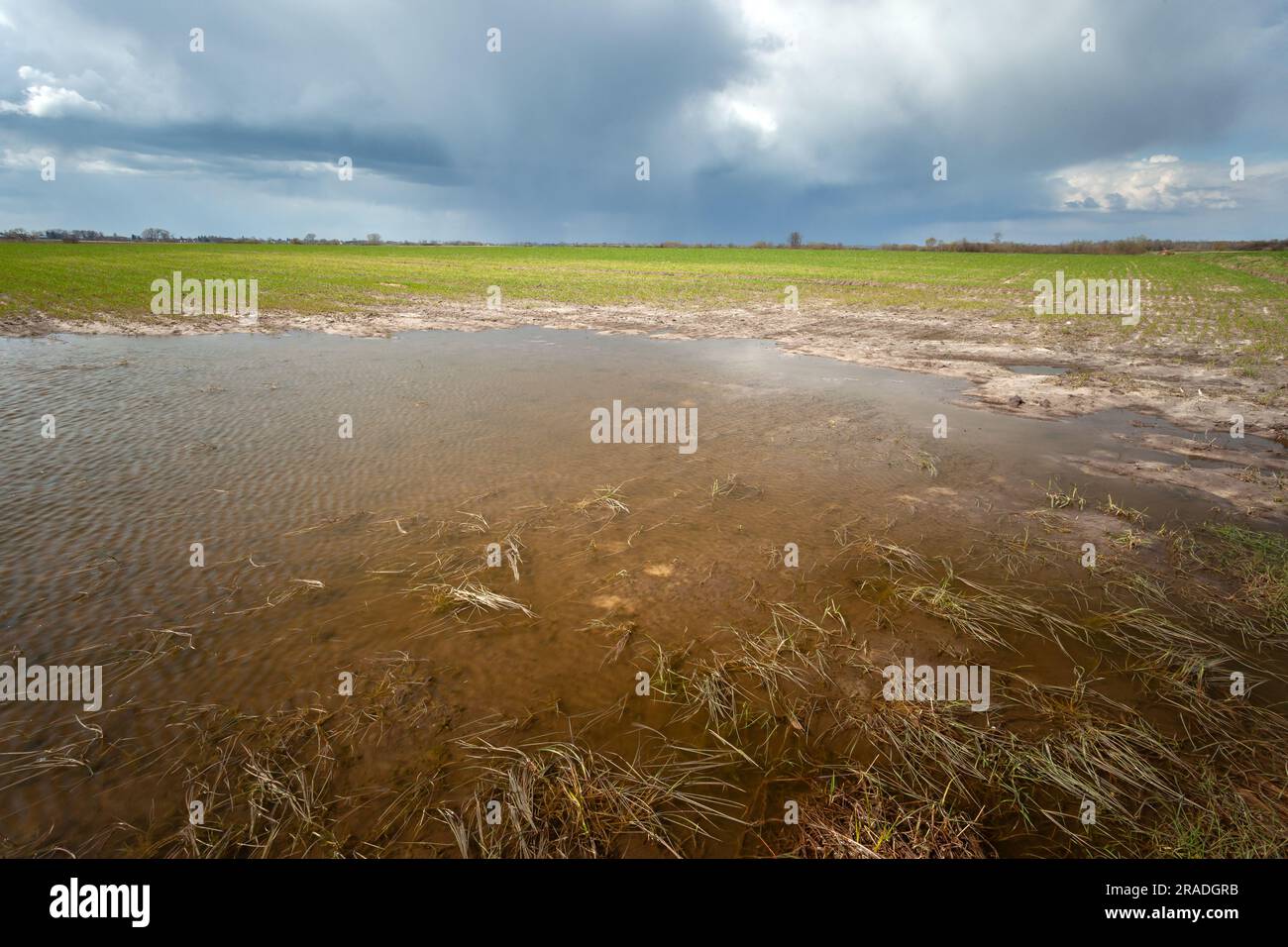 Pozzanghere d'acqua su terreni agricoli e cielo nuvoloso, Polonia orientale Foto Stock