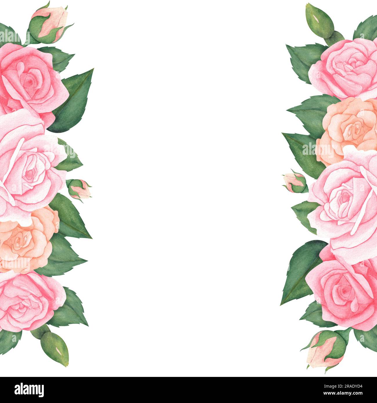 bordo ad acquerello di bellissime rose rosa color pesca pastello con foglie. Disegnato a mano con uno spazio per il testo o la foto.illustrazione per i biglietti di auguri o. Foto Stock