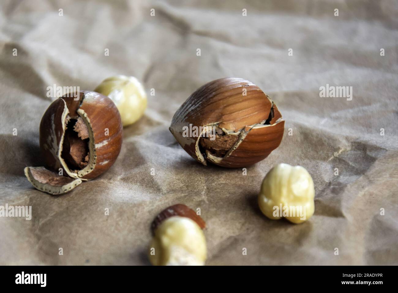 Nocciole e nocciole di filbert mature in un guscio sullo sfondo di carta artigianale stropicciata. Nutrizione sana. Primo piano. Spazio di copia. Profondità superficiale di fil Foto Stock