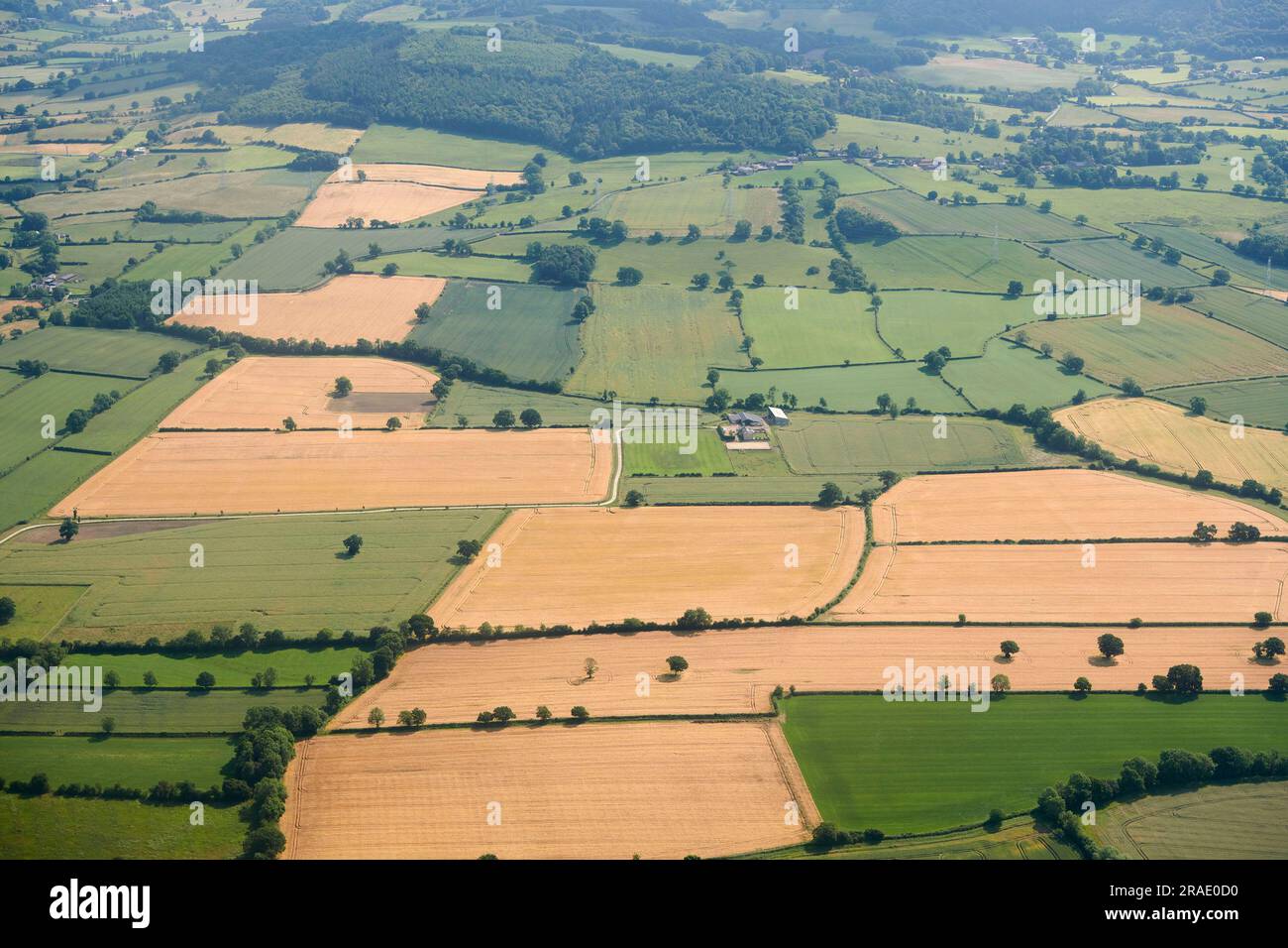 Dall'alto, il paesaggio rurale britannico mostra modelli di campo e colture pronte per il raccolto, North Yorkshire, Northern England, UK Foto Stock