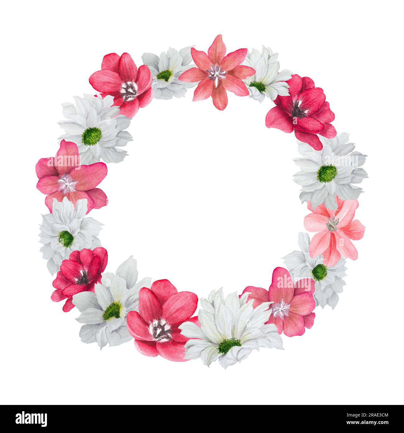 Corona floreale ad acquerello disegnata a mano con fiori rossi e bianchi. Due opzioni: Su sfondo bianco e trasparente. Foto Stock
