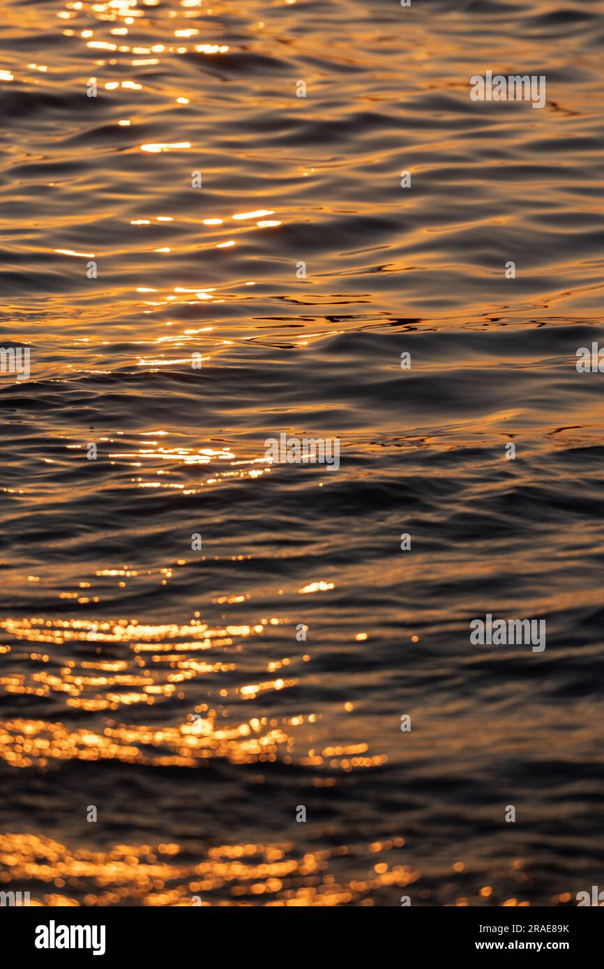 Ripple acqua mare oceano superficie con luce tramonto dorato. Primo piano dell'onda di mare Foto Stock