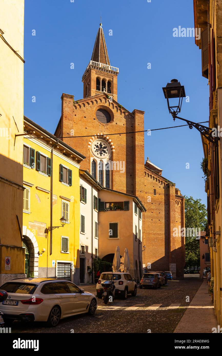 La Basilica di Santa Anastasia, Verona, Veneto, Italia Foto Stock