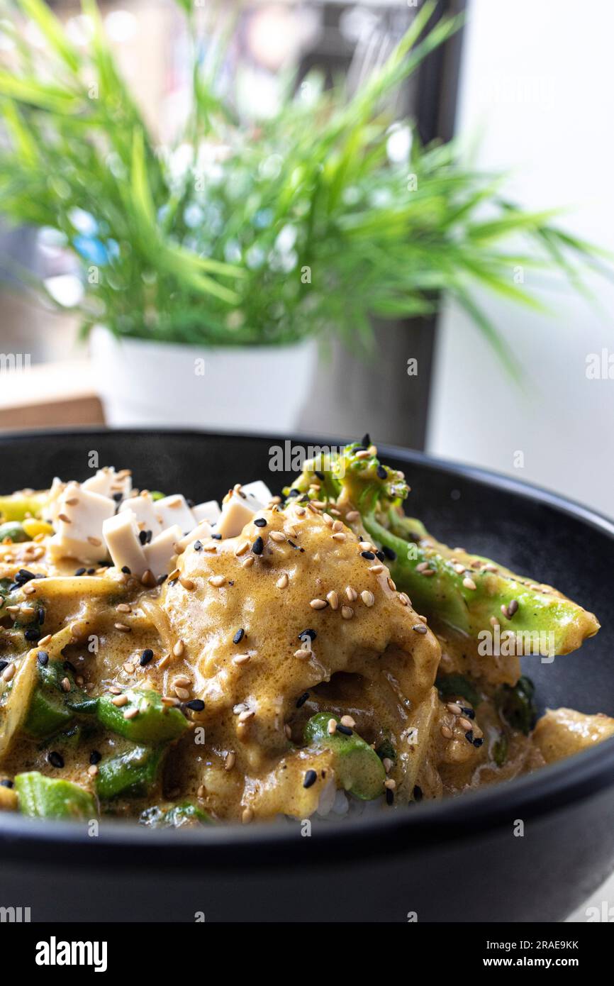 Riso al curry con latte di cocco, germogli di fagioli, tofu e proteina vegetale Heura. Vista dall'alto. cucina tradizionale giapponese. Cibo vegano Foto Stock