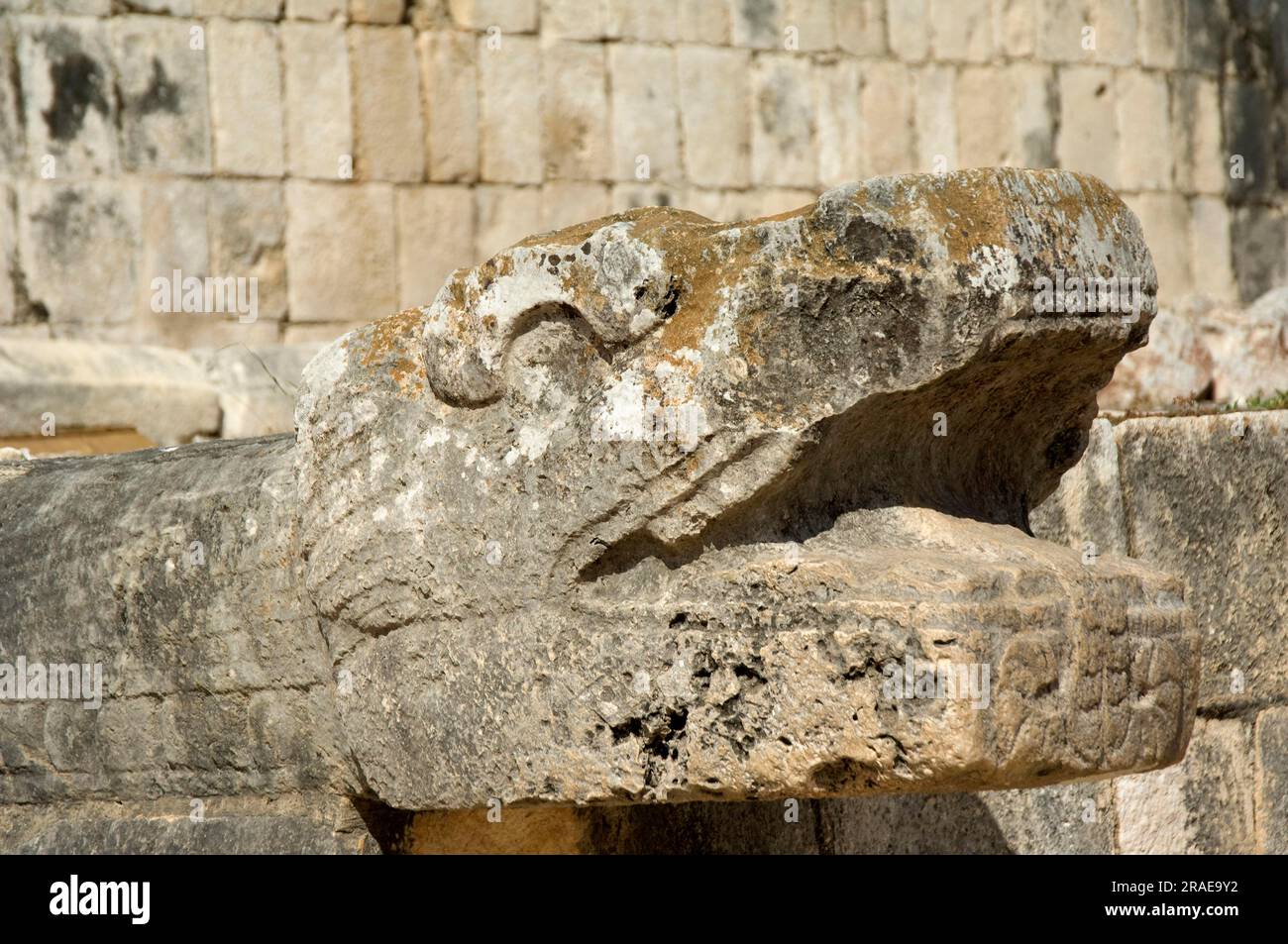 Snake Deity, Juego de Pelota, The Ball Playground, Chichen Itza, Yucatan, Messico Foto Stock