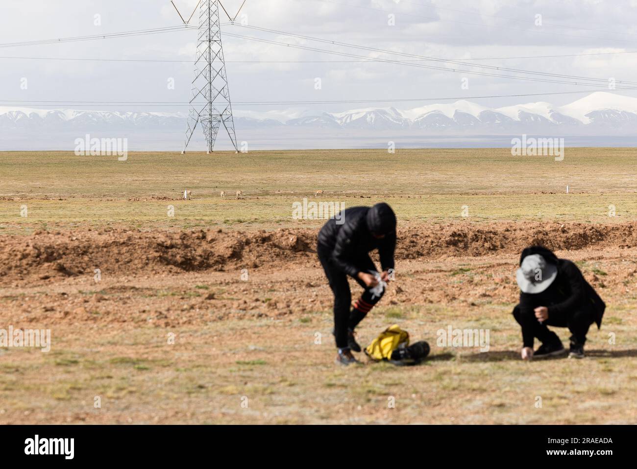 (230703) -- GOLMUD, 3 luglio 2023 (Xinhua) -- Lian Xinming (R) e il suo studente Wang Dong raccolgono le feci delle antilopi tibetane per la ricerca a Hoh Xil, una riserva naturale nella provincia del Qinghai della Cina nord-occidentale, 15 giugno 2023. Lian Xinming, ricercatore presso il Northwest Institute of Plateau Biology sotto la Chinese Academy of Sciences, ha dedicato più di 20 anni di ricerca alle antilopi tibetane da quando ha messo piede per la prima volta su Hoh Xil nel 2002. "La protezione antilope tibetana rappresenta un esempio di successo del coinvolgimento umano nel salvataggio degli animali in pericolo", ha affermato Lian. "Utilizzando tecnologie avanzate Foto Stock