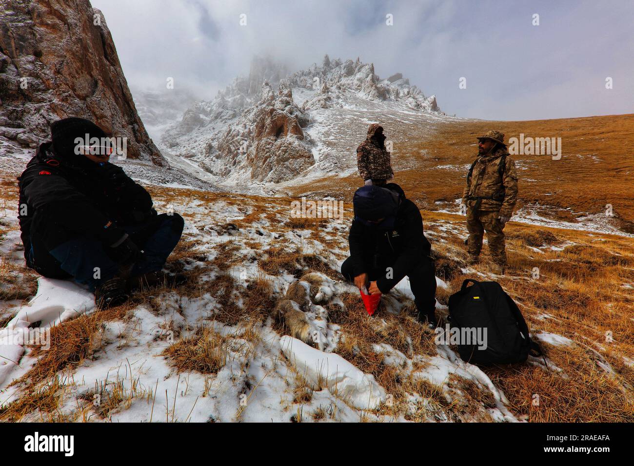 (230703) -- GOLMUD, 3 luglio 2023 (Xinhua) -- questa foto del file scattata nel marzo 2019 mostra Lian Xinming (R, front) che raccoglie campioni nell'area di Sanjiangyuan nella provincia del Qinghai della Cina nord-occidentale. Lian Xinming, ricercatore presso il Northwest Institute of Plateau Biology sotto la Chinese Academy of Sciences, ha dedicato più di 20 anni di ricerca alle antilopi tibetane da quando ha messo piede per la prima volta su Hoh Xil nel 2002. "La protezione antilope tibetana rappresenta un esempio di successo del coinvolgimento umano nel salvataggio degli animali in pericolo", ha affermato Lian. "L'utilizzo di tecnologie avanzate per acquisire informazioni su ciò che li Foto Stock