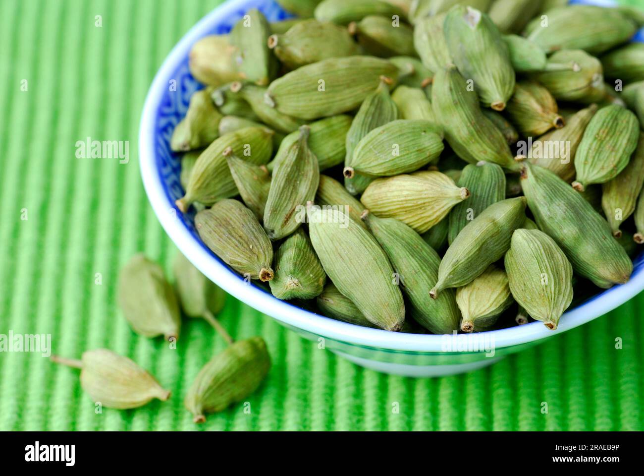 Cardamomo (Elettaria cardamomum) in guscio, capsule di semi, capsula di semi Foto Stock