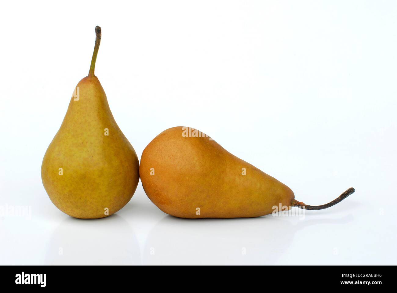 Pera "Imperatore Alessandro". (Pyrus communis var. sativa) Foto Stock