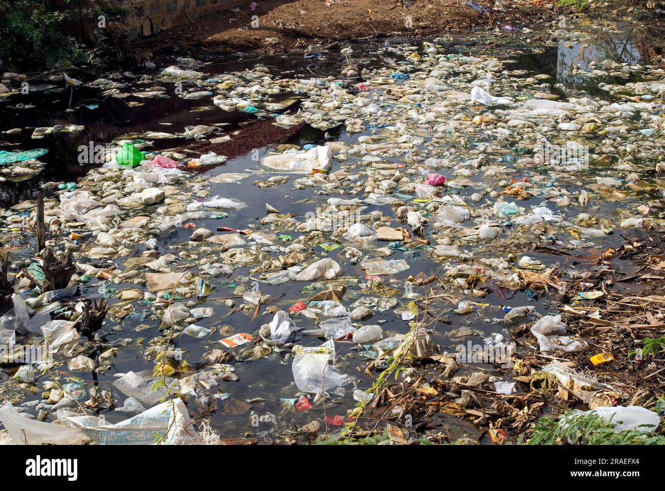 Inquinamento nel fiume Noyyal a Tiruppur Tirupur, Tamil Nadu, India meridionale, India, Asia Foto Stock