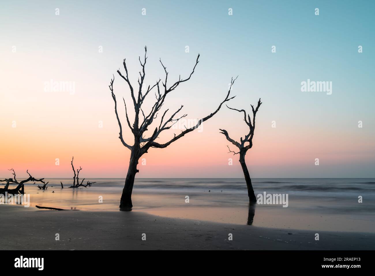 Meditativo paesaggio marino a Boneyard Beach su Bull Island, South Carolina, all'alba Foto Stock