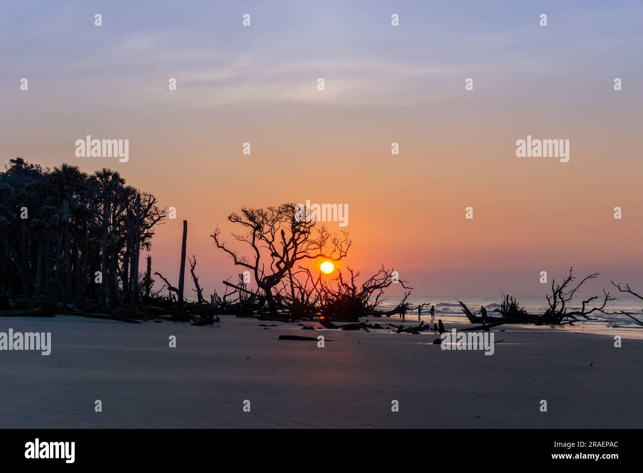 paesaggio all'alba con sole basso sull'orizzonte su una spiaggia con alberi morti e marciapiedi Foto Stock