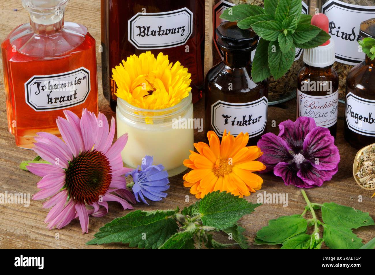 Tinture con calendula, cicoria, menta piperita, Fraunmantel, St Erba di Giovanni, fiordaliso, agrimonia, salvia, yarrow, fiore rosso, legno di verme, erbe Foto Stock