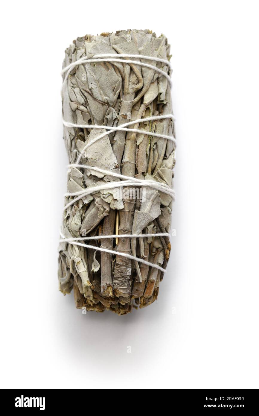 bastone bianco per macchie di salvia per meditazione, guarigione e pulizia spirituale della stanza Foto Stock