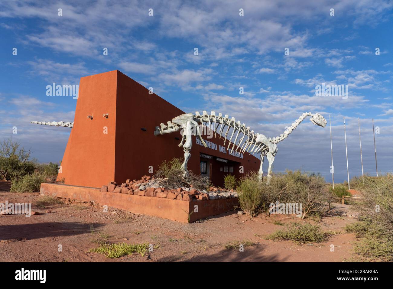 Uno scheletro ricostruito di Lessemsaurus sauropoides presso il Triassic Trail nel Parco Nazionale di Talampaya, Argentina. Foto Stock
