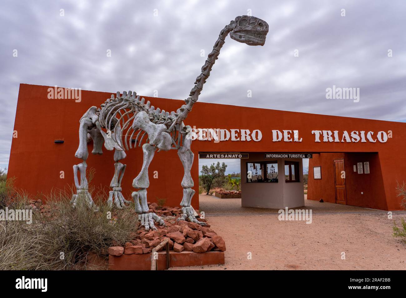 Uno scheletro ricostruito di Lessemsaurus sauropoides presso il Triassic Trail nel Parco Nazionale di Talampaya, Argentina. Foto Stock