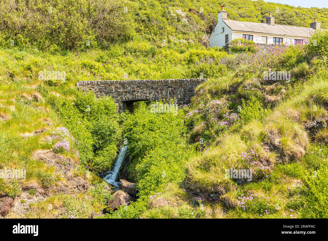 Un piccolo cottage accanto a un torrente sul Pembrokeshire Coast Path National Trail a Trefin (Trevine) nel Pembrokeshire Coast National Park, Galles, Regno Unito Foto Stock