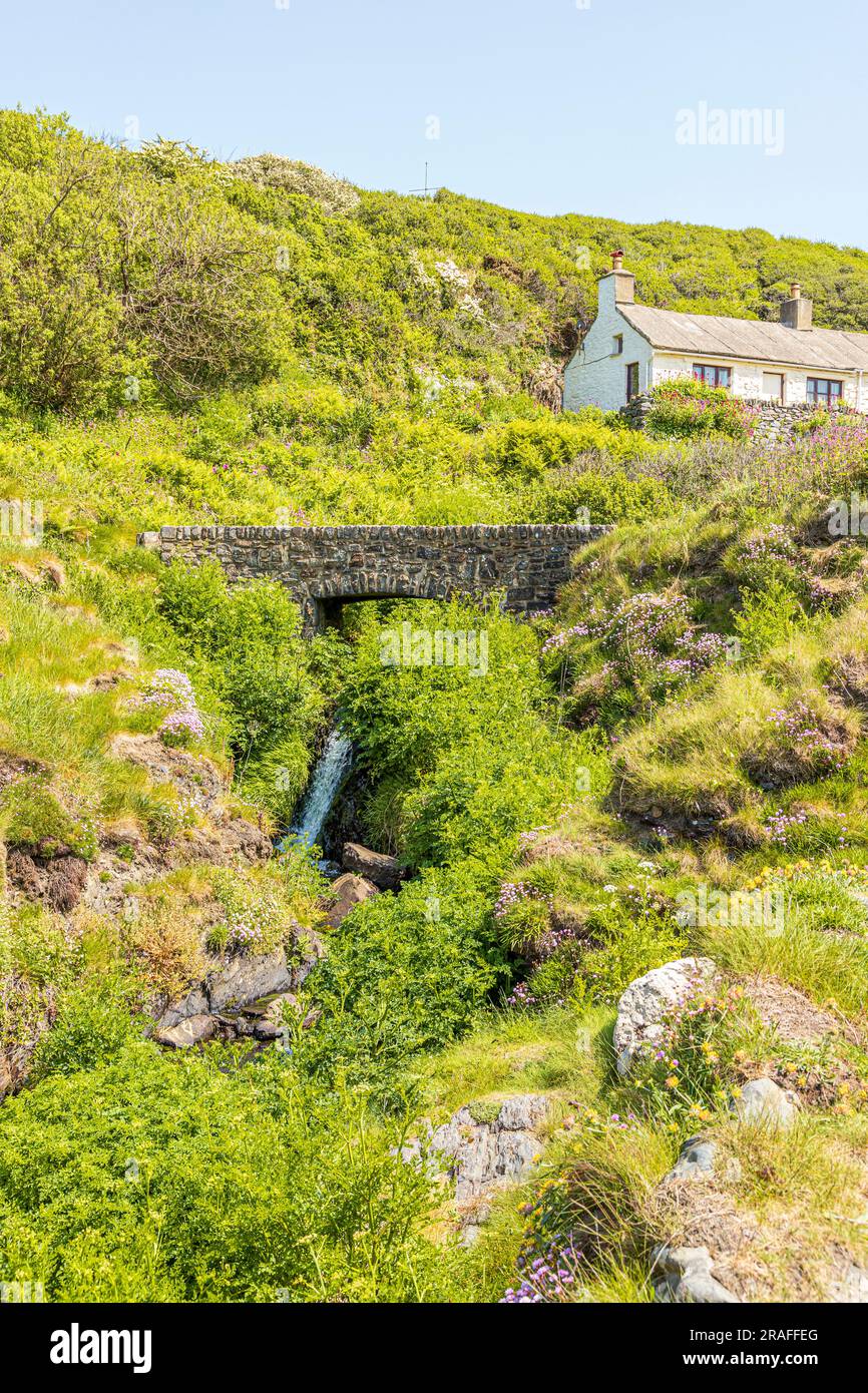 Un piccolo cottage accanto a un torrente sul Pembrokeshire Coast Path National Trail a Trefin (Trevine) nel Pembrokeshire Coast National Park, Galles, Regno Unito Foto Stock