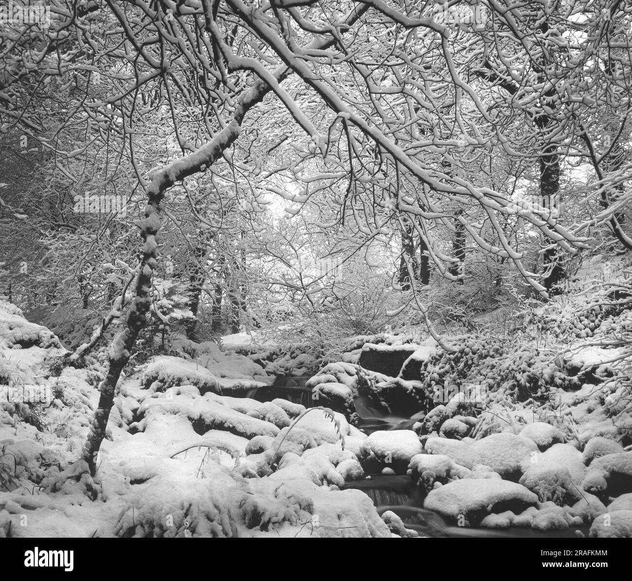 "The Glen is White with Drifted Snow" - Pub. Di George Washington Wilson (G.W.W.) - Immagine da una lanterna di vetro antico slide (formato britannico) Foto Stock